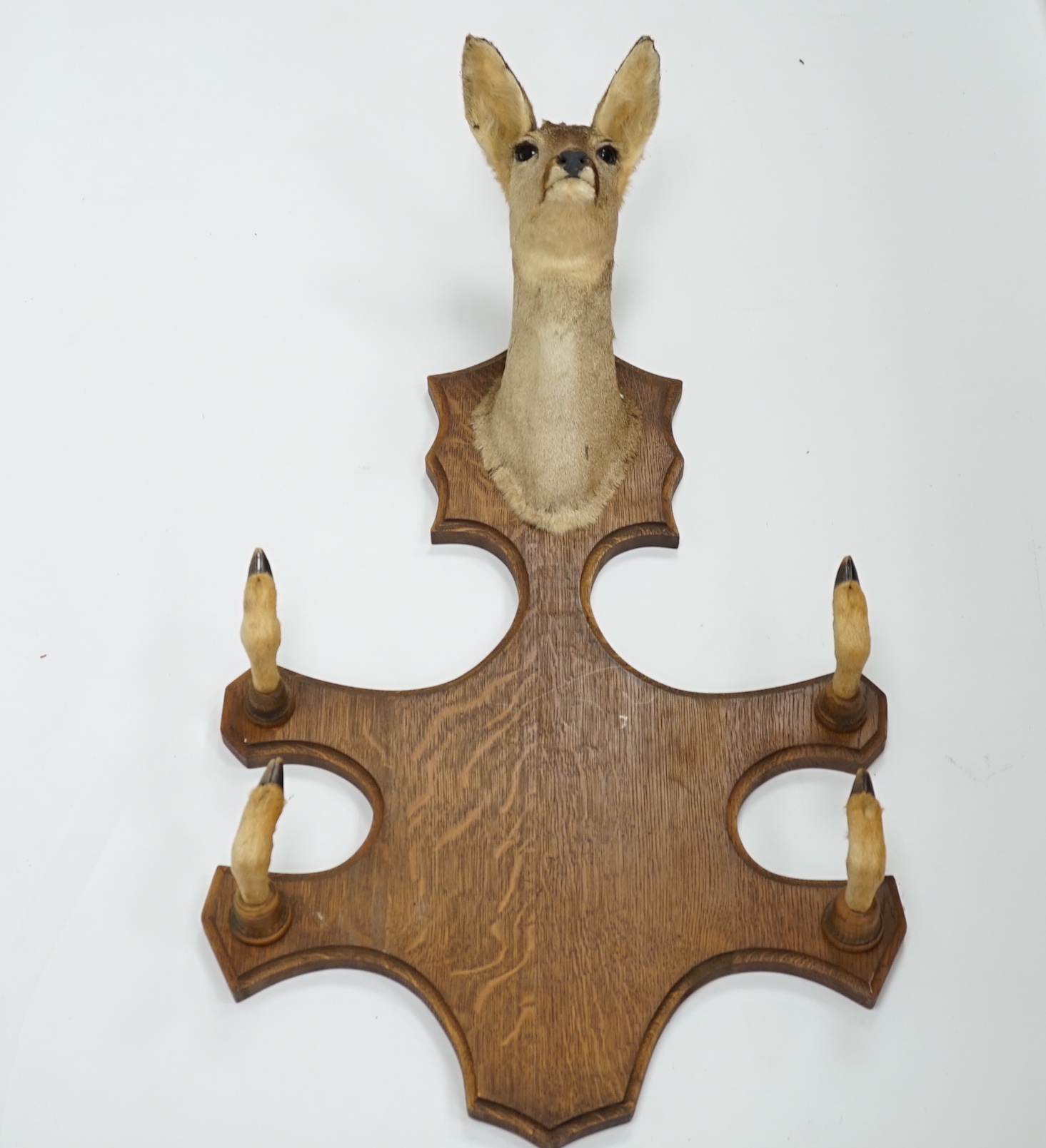 A taxidermic deer head with four hooves in the form of a coat hook, 80cm high